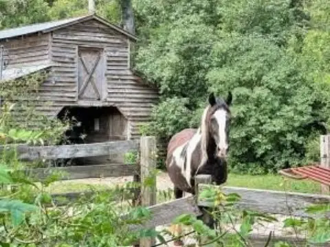 7-Acre Country Land Parcel