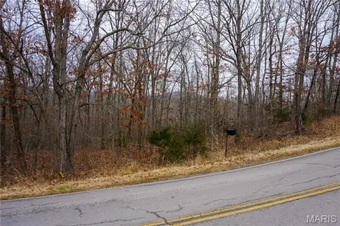 Wooded Agricultural Land Parcel