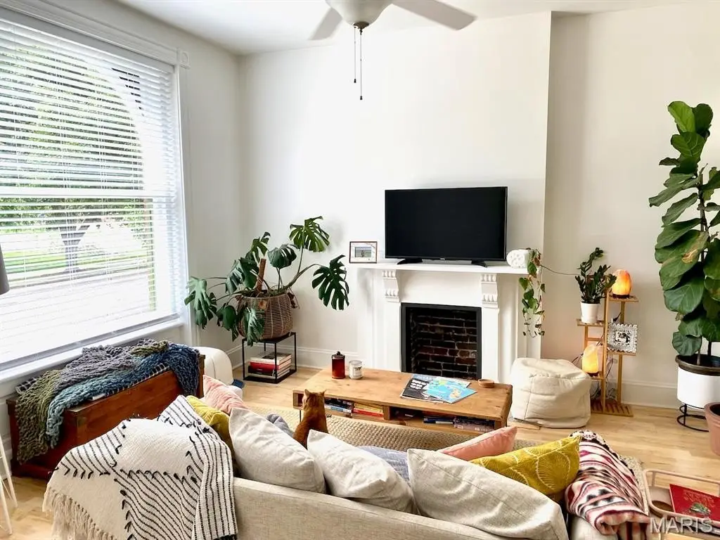 Picture 5