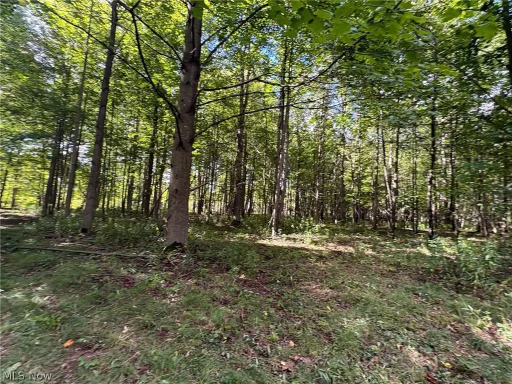 Picture 17
