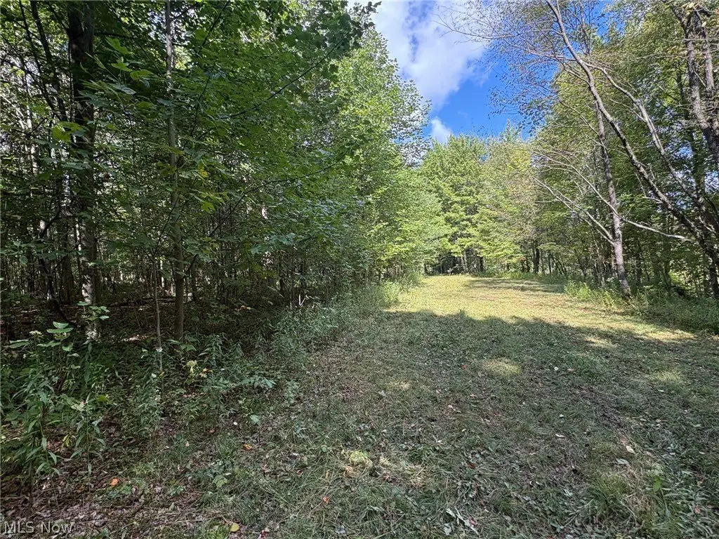 Picture 18