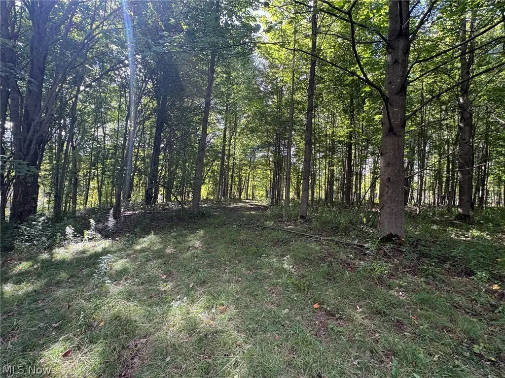 Picture 16