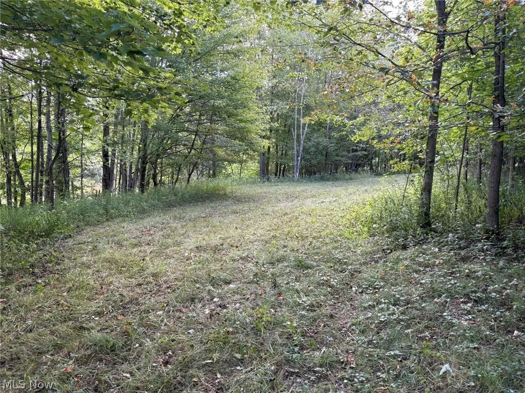 Picture 8