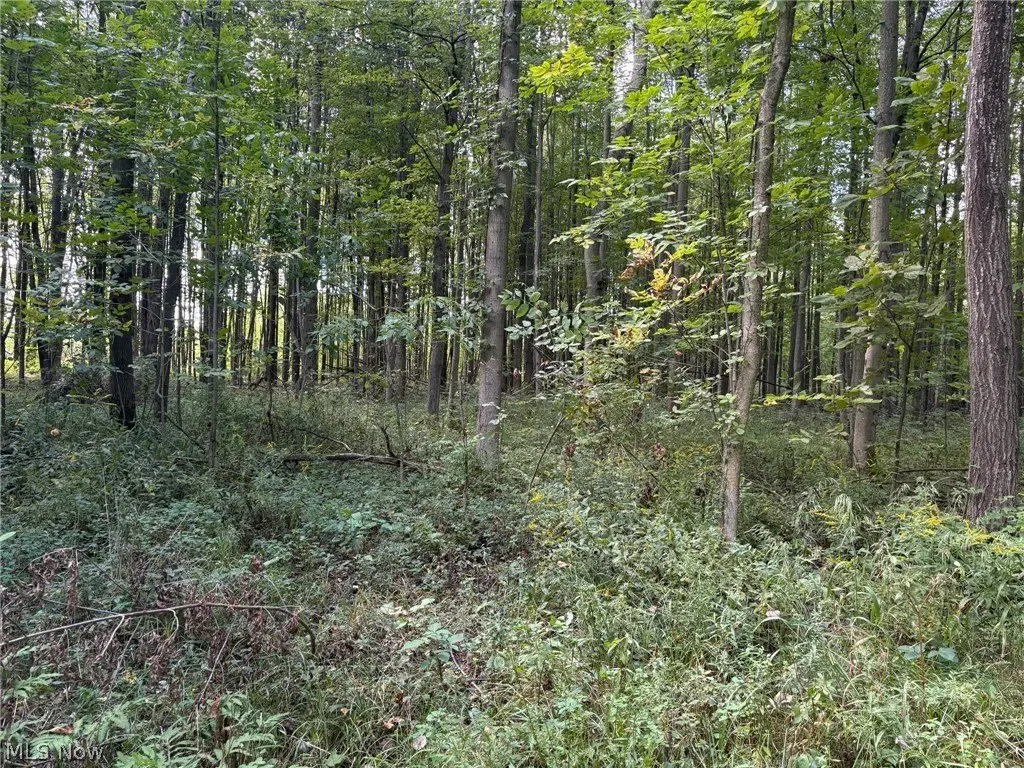 Picture 3