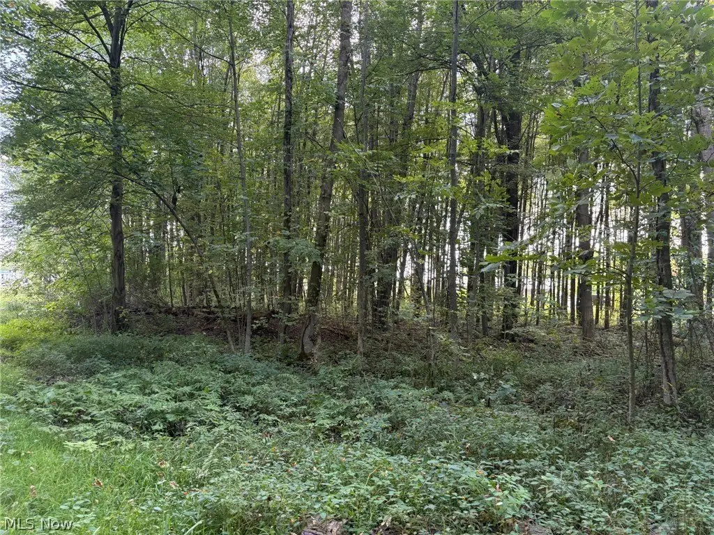 Picture 4