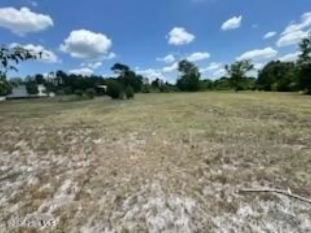 Picture 3