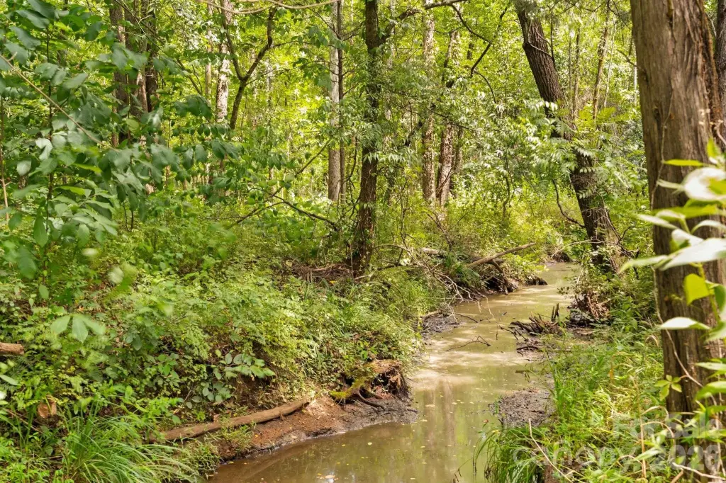 Picture 41