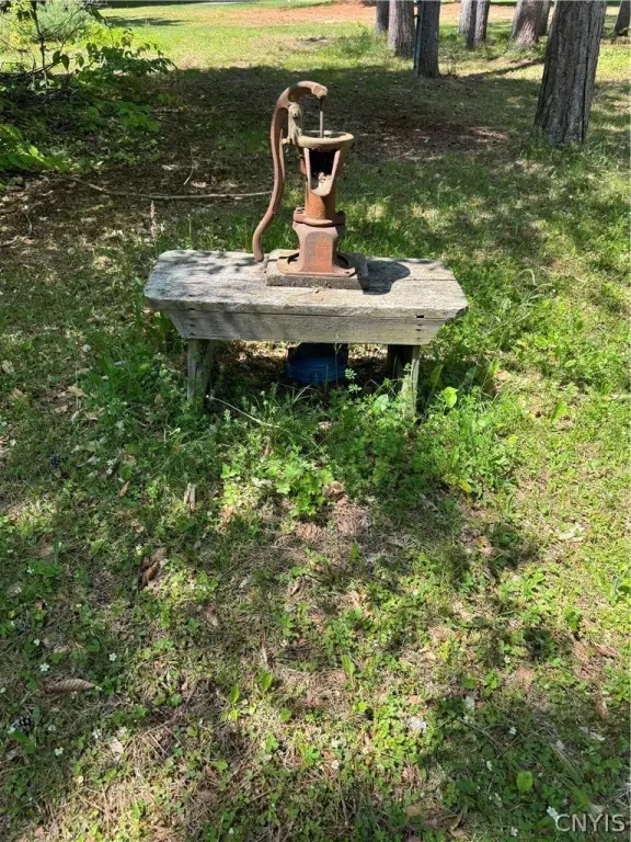 Picture 27