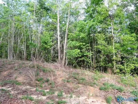 Jasper, AL Off-Water Wooded Lot