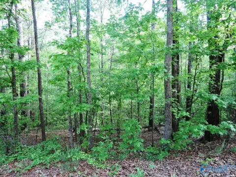 Jasper, AL Acreage For Sale