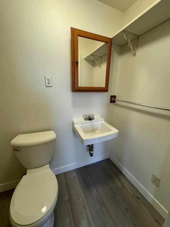 Picture 12