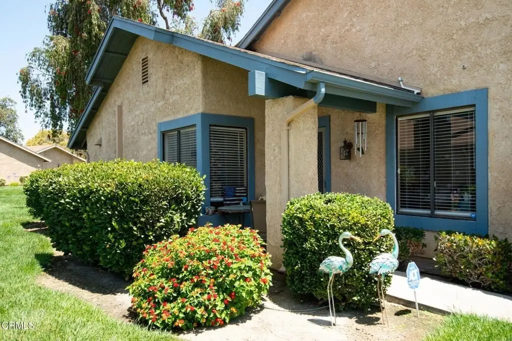 Picture 12