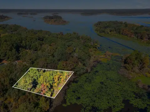 Lakefront Lot in Killearn Lakes