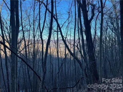 Two-Acre Land in Waynesville, NC