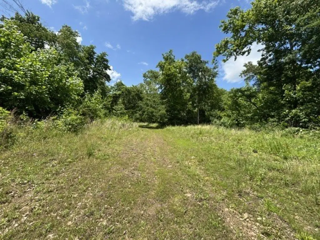 Picture 5
