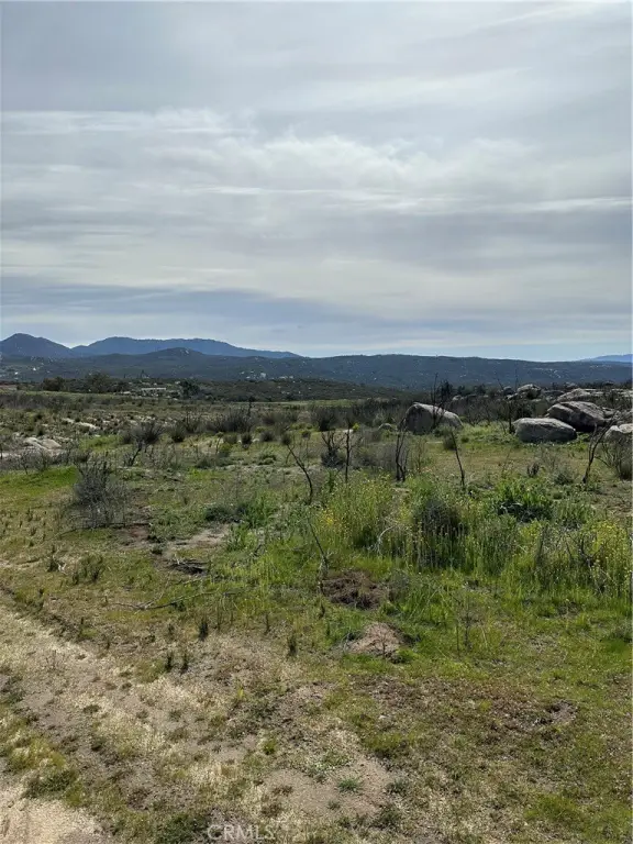 Picture 12