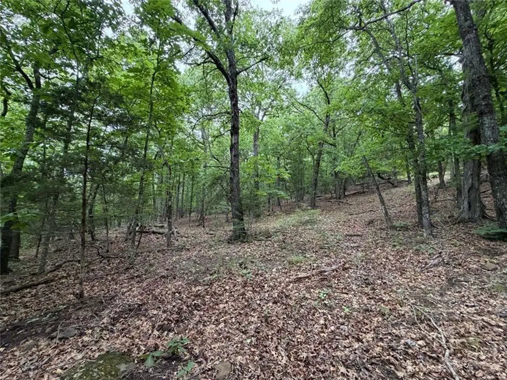 Picture 10