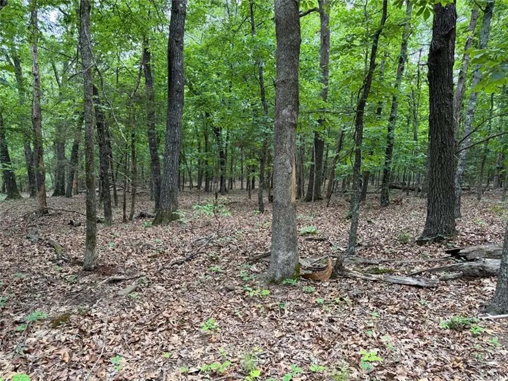 Picture 13