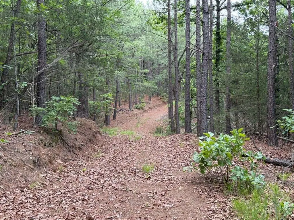Picture 23