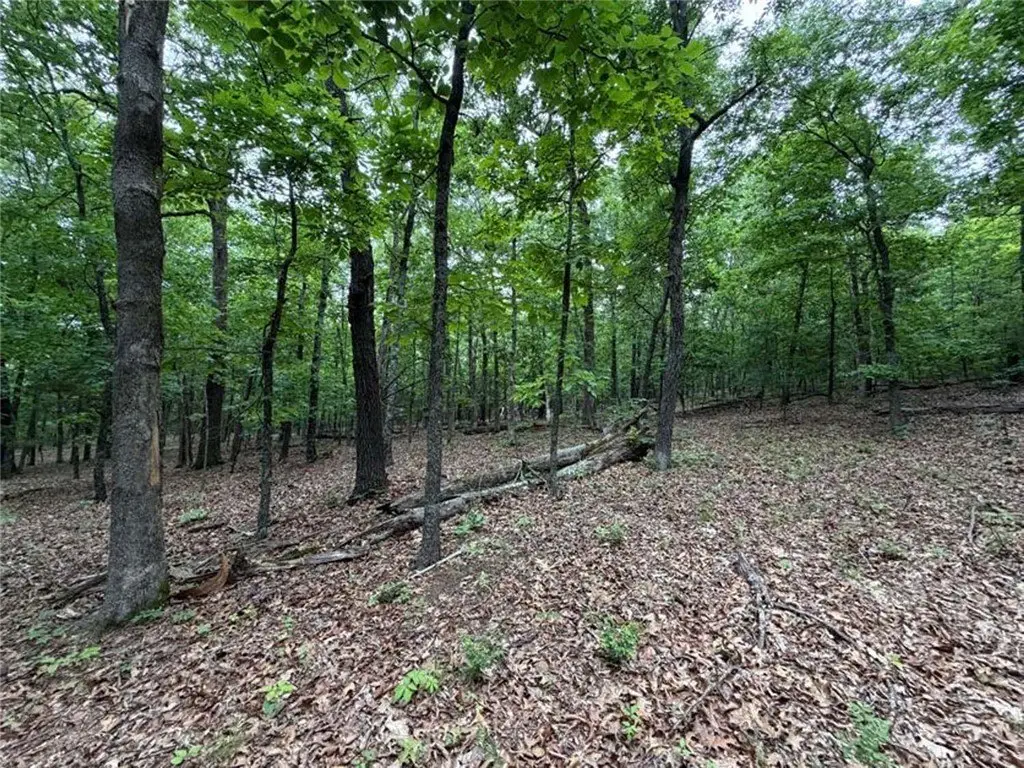 Picture 15