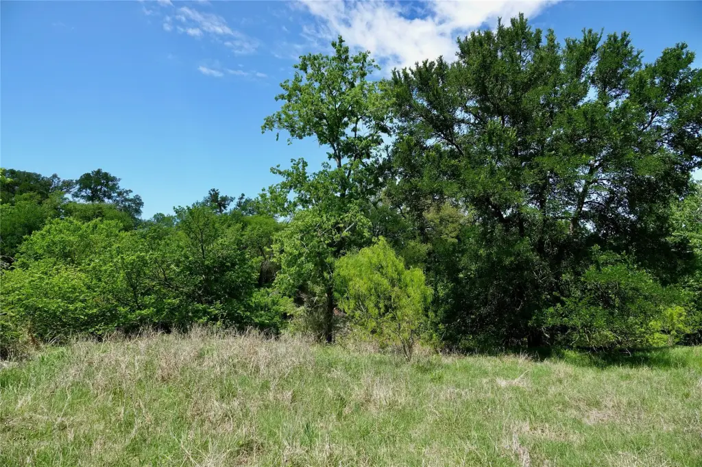 Picture 23