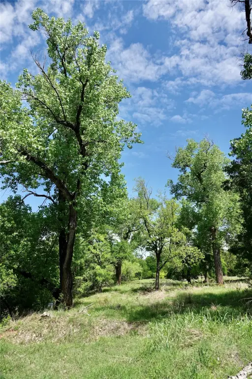 Picture 21