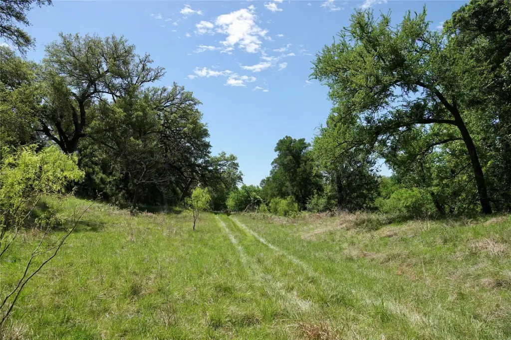 Picture 27