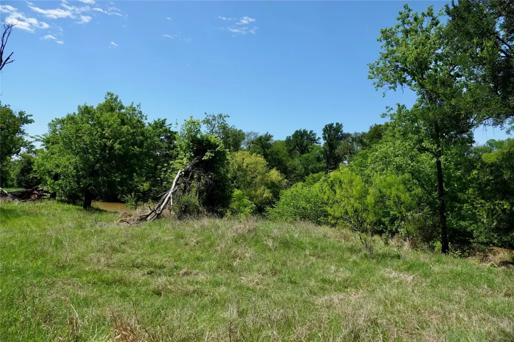 Picture 26