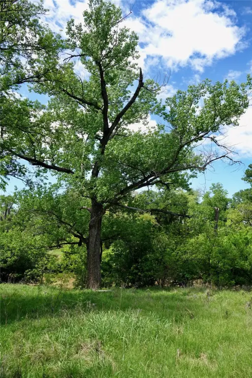 Picture 19