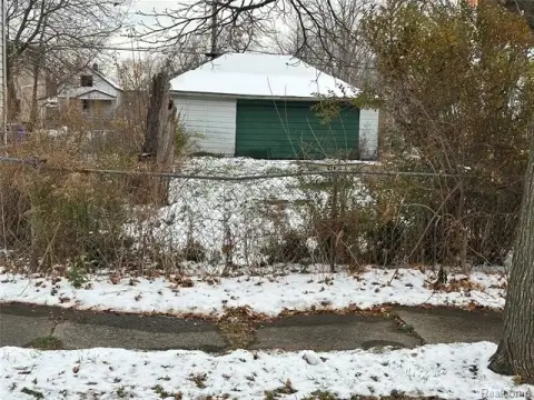 Detroit Vacant Land Opportunity