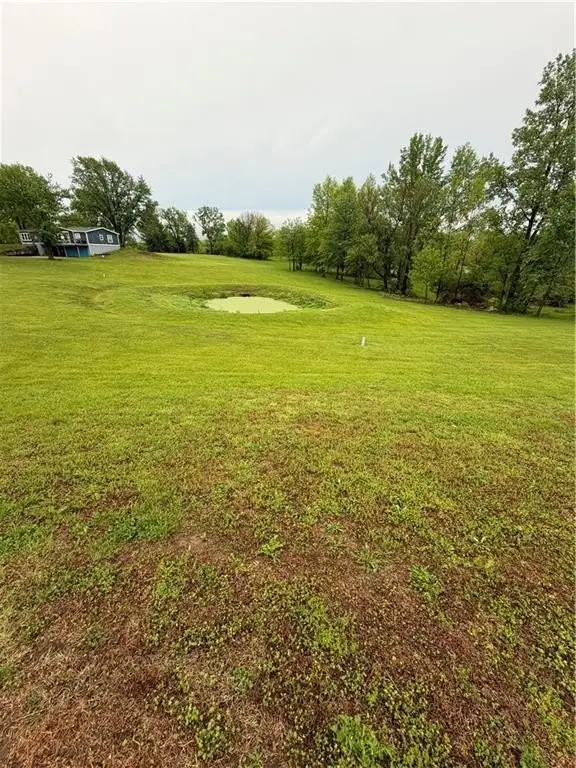 Picture 5