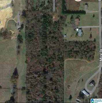 Spacious Acreage in Odenville, AL