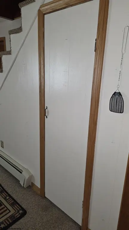 Picture 28