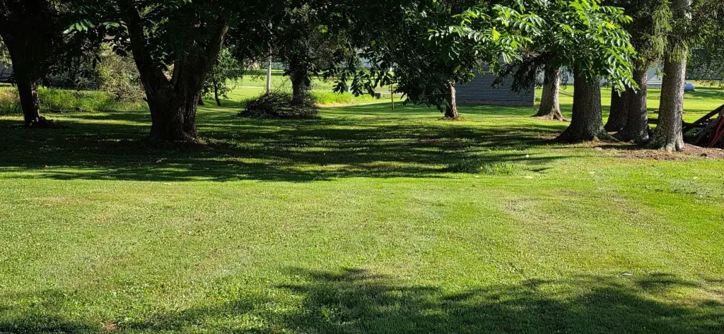 Picture 16