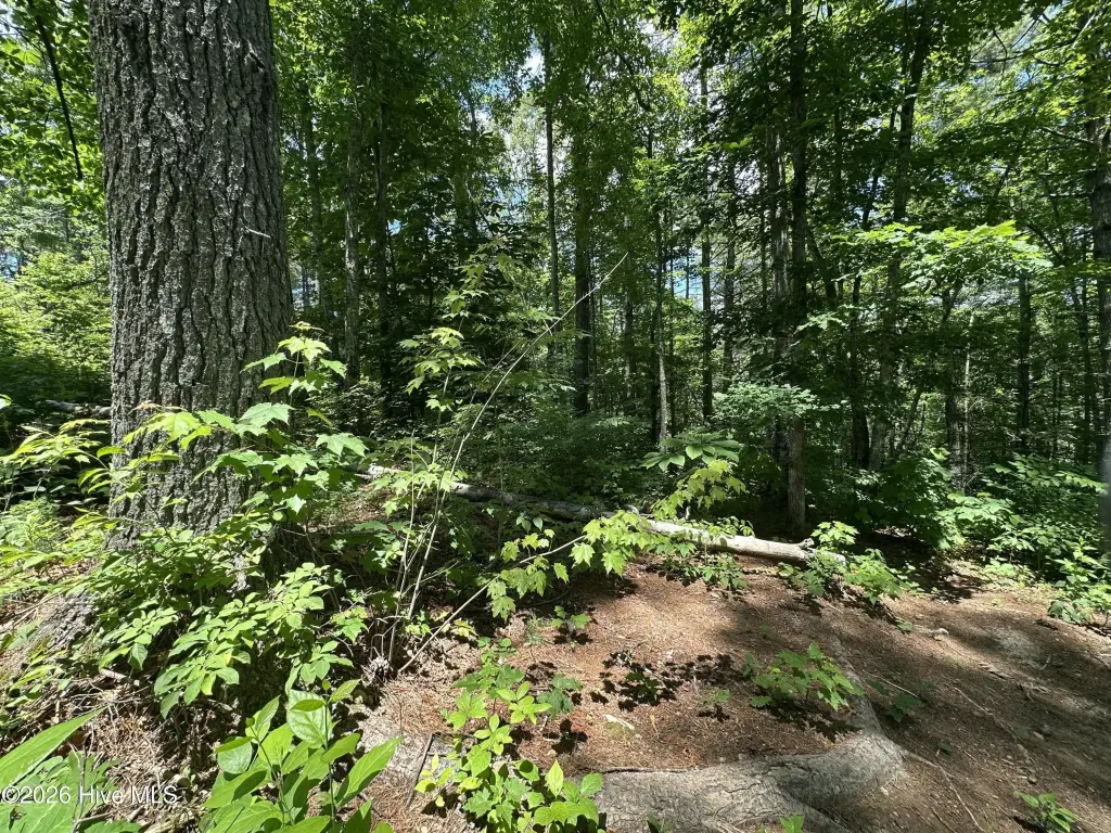 Picture 23