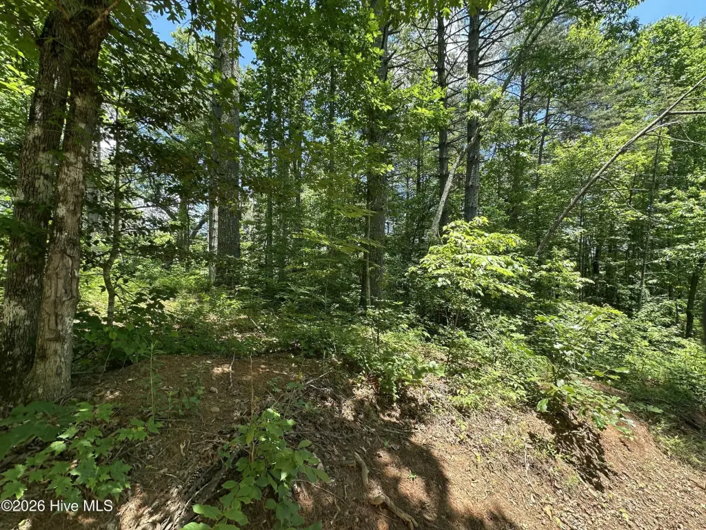 Picture 27