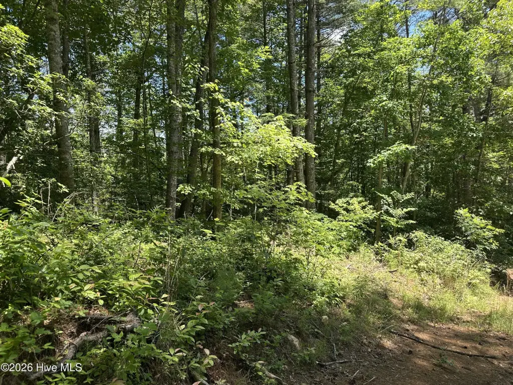 Picture 29