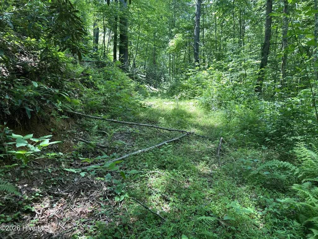 Picture 31