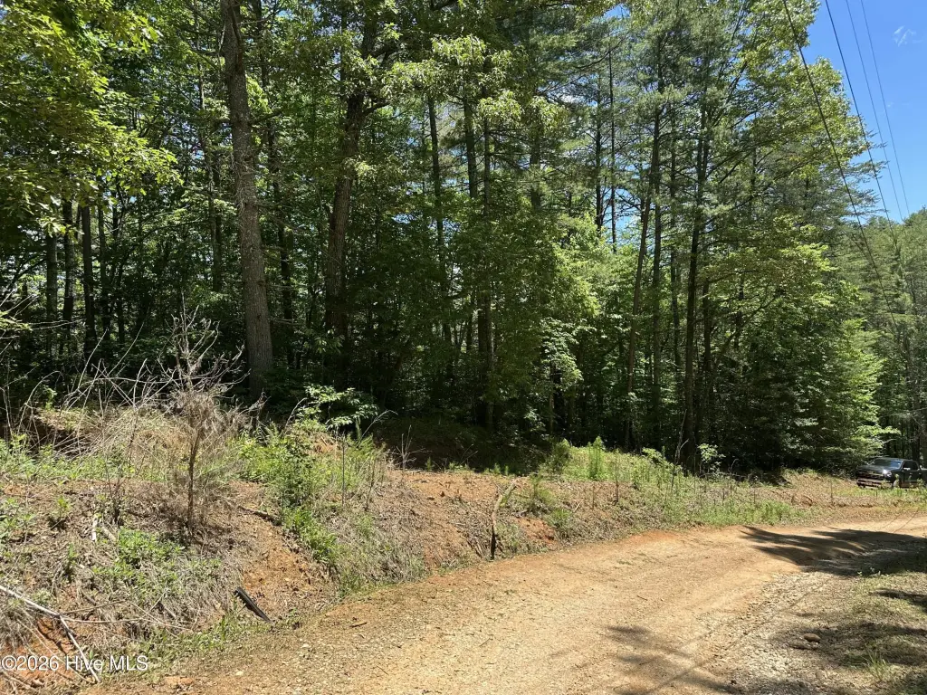Picture 30