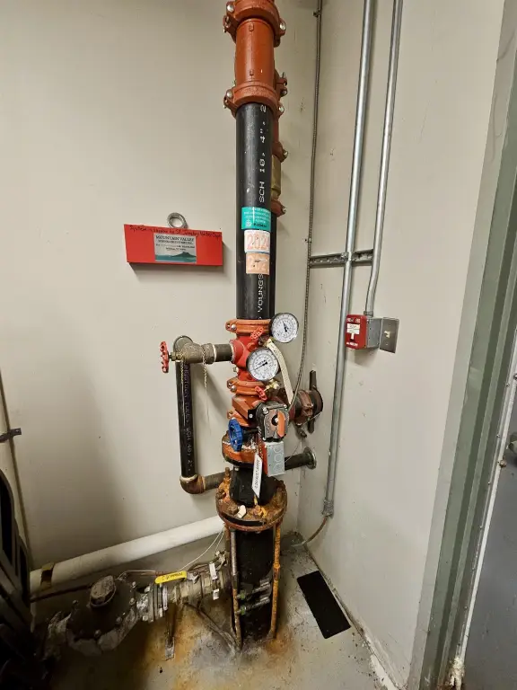 Picture 21