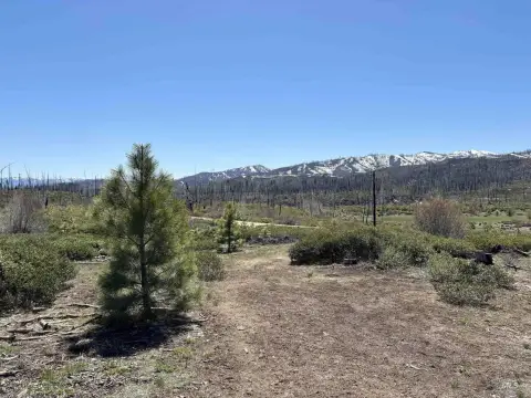 158.81 Acres of Mountain Land