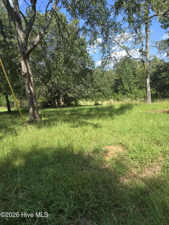 Picture 6