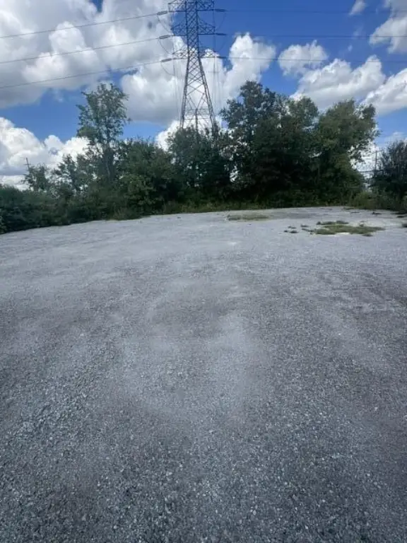 Picture 14