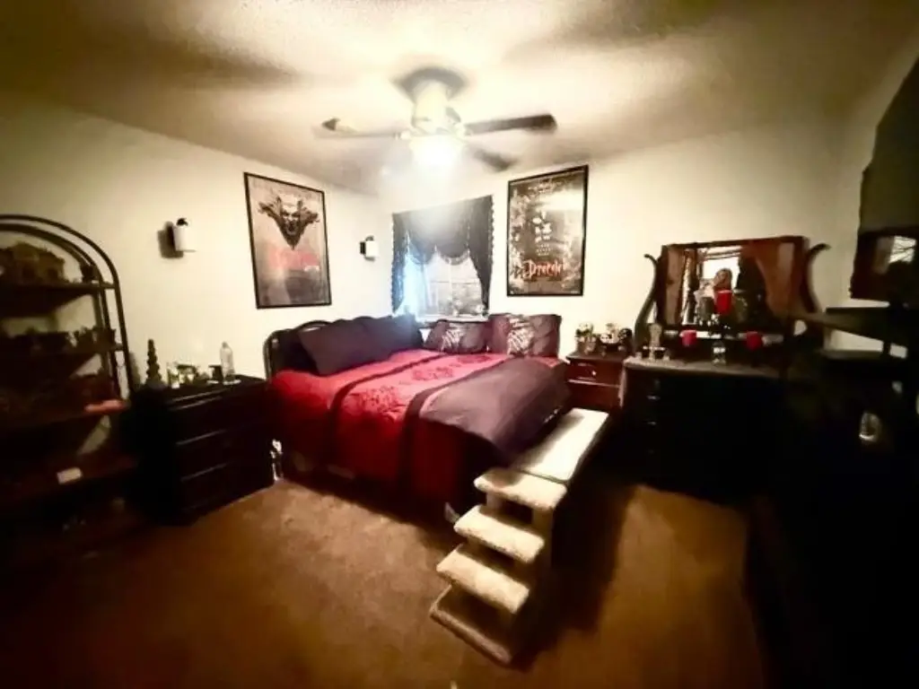 Picture 13