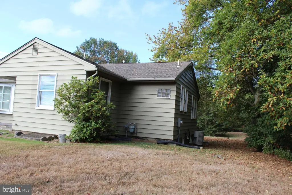 Picture 14