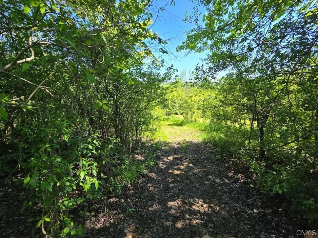Picture 31