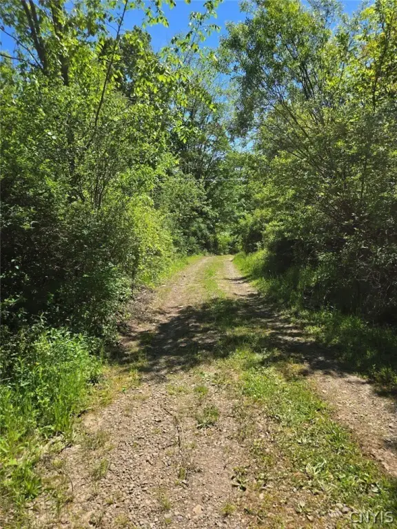 Picture 27