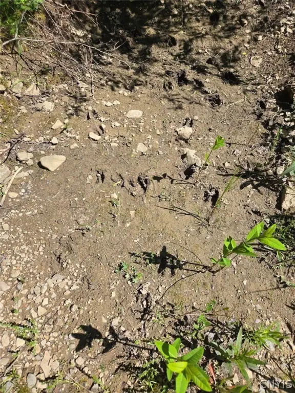 Picture 28