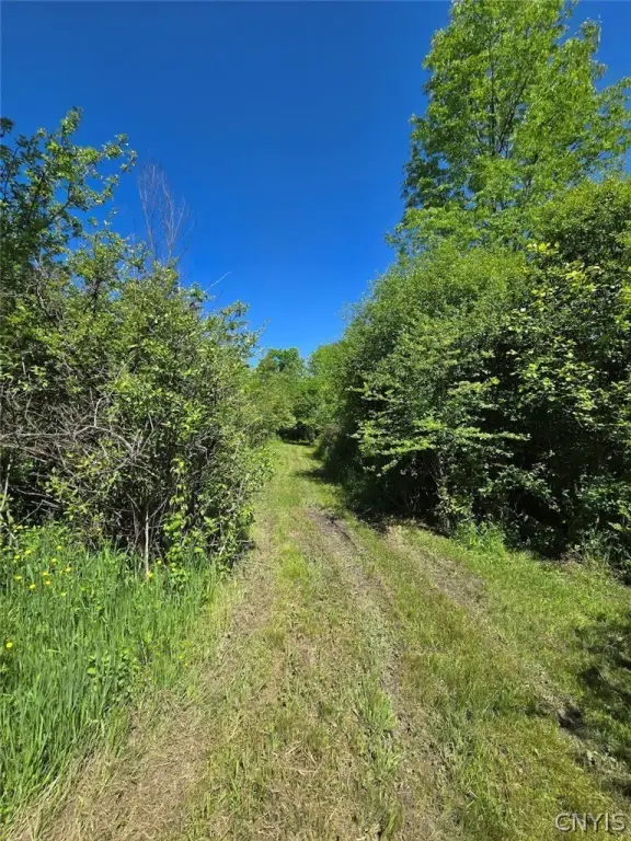 Picture 30