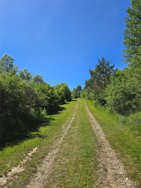 Picture 29